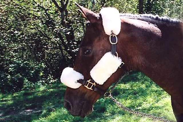 Girth & Halter Strap Covers