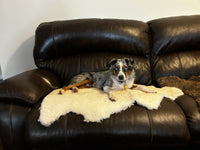 SALE! Sheared Sheepskin "B-Grade" Single Hide