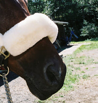 Sheepskin Halter Nose Strap Cover