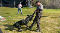 Leather Bite Rag for Dogs or Puppies - Black