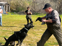 Leather Bite Rag for Dogs or Puppies - Black