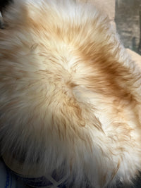 Medium Sheepskin Buttpad®