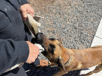 Leather Bite Rag for Dogs or Puppies - Black
