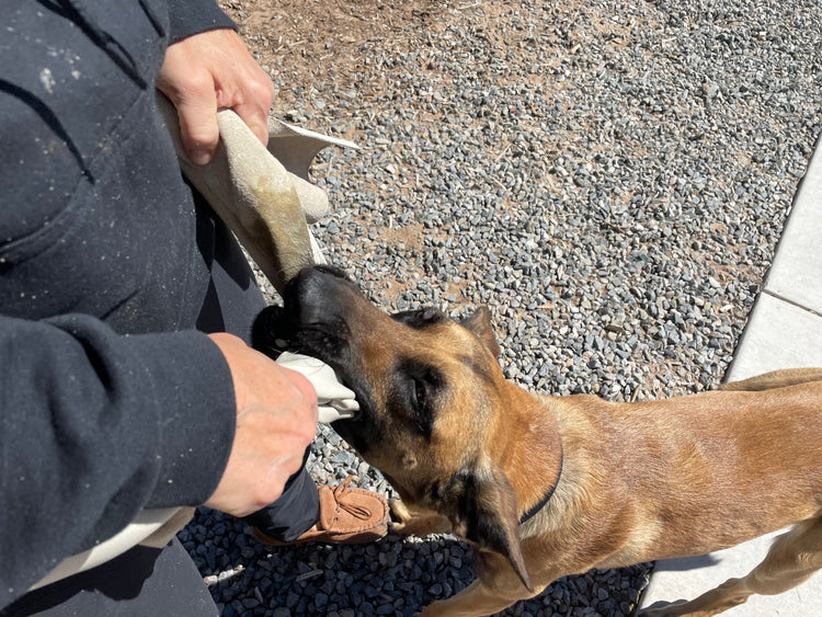 Leather Bite Rag for Dogs or Puppies - Black