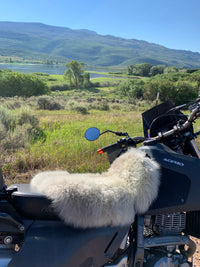 Dualsport Sheepskin Buttpad®