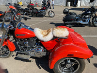 Pillion 5 Sheepskin Buttpad®
